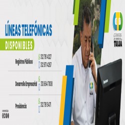 Imagen en miniatura de la galería