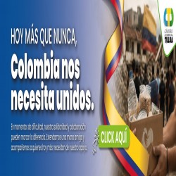 Imagen en miniatura de la galería