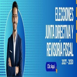 Imagen en miniatura de la galería