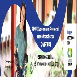 Imagen en miniatura de la galería