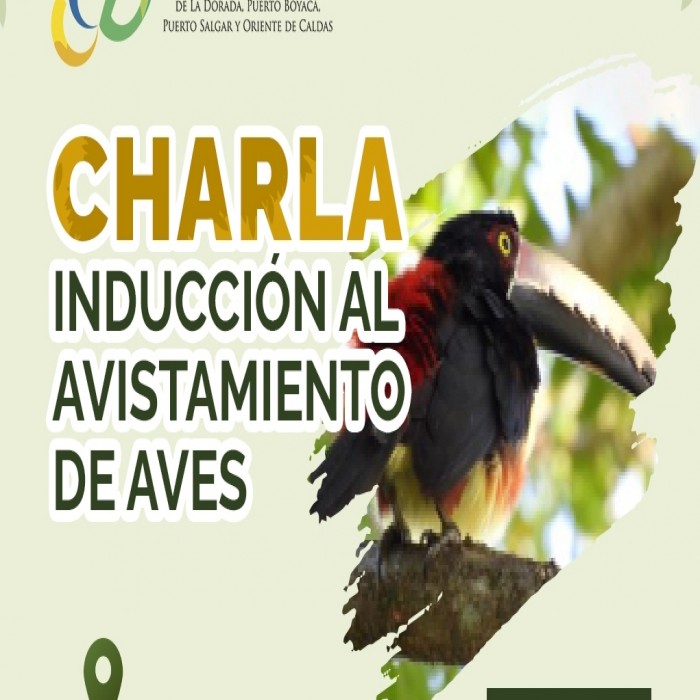 ¿Quieres adentrarte en el fascinante mundo del aviturismo?