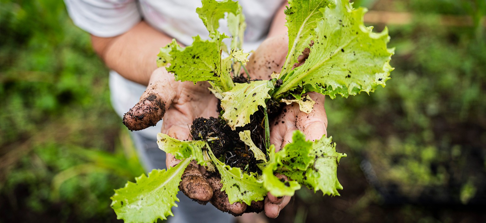 Banner de Nuestro aporte a la *sostenibilidad