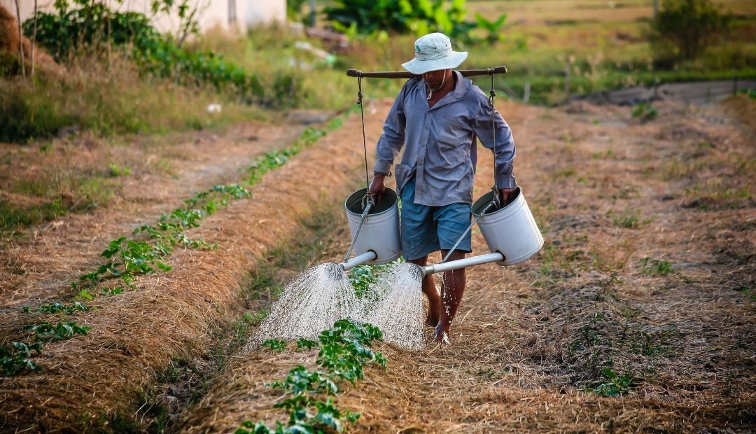 Didier Patiño, cultivando conocimiento y sostenibilidad en la vereda Llano Grande Alto