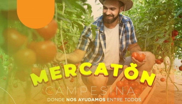 Mercatón en la Plaza de Bolívar y el Barrio El Jardín Etapa II: frescura y diversidad a tu alcance