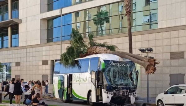 Trágico accidente de autobús en España, tres vidas perdidas en un instante