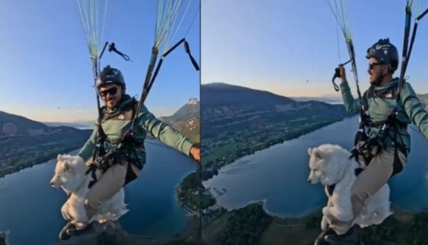 Hombre vuela en parapente con su perro desata polémica y controversia 