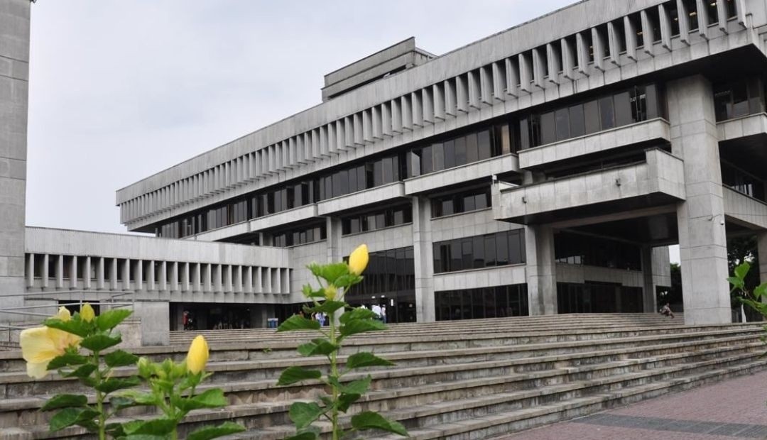 Conozca los 12 Diputados de electos para administrar los recursos de Risaralda 