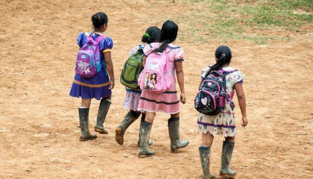 Intervención exitosa evita suicidio masivo en resguardo indígena de Risaralda