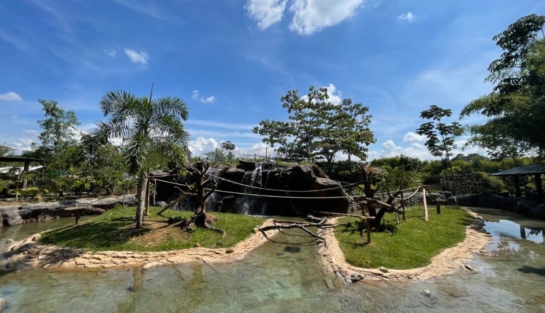 Nuevo hábitat para los lémures del Bioparque Ukumarí