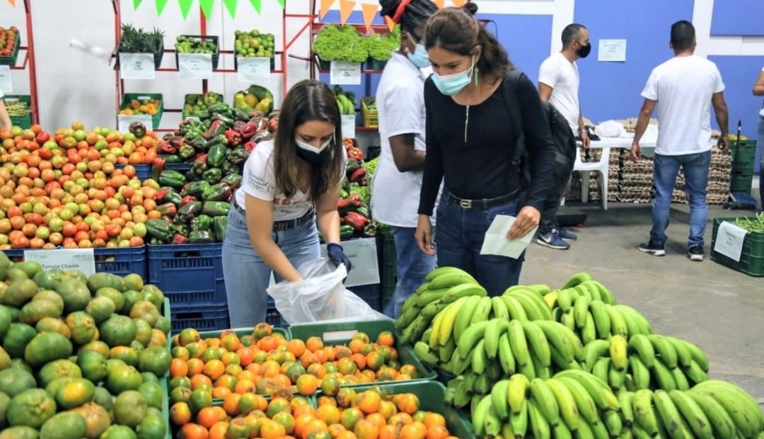 Mercatón Campesina: apoyo vital para agricultores del campo pereiranos