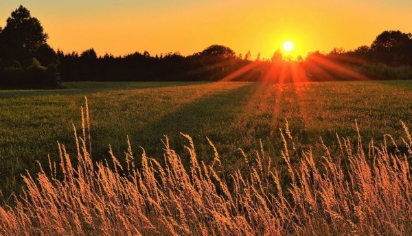 Economía circular y negocios verdes transforman el desarrollo rural en Pereira