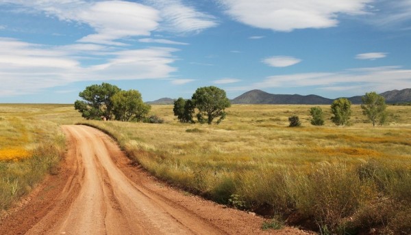Los negocios verdes transformarán la economía de Pereira
