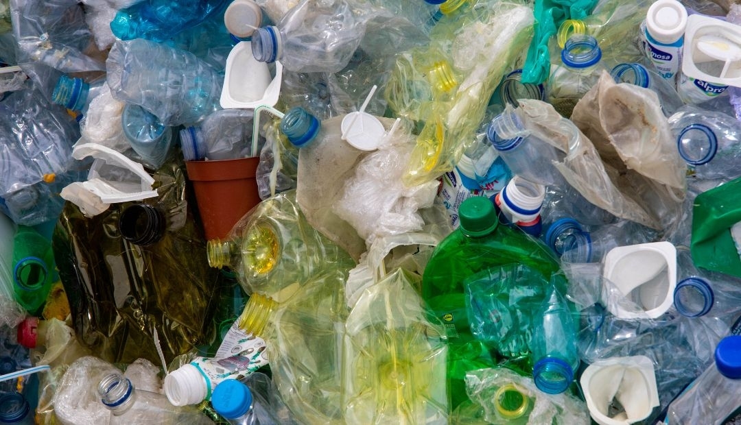 Avance hacia la sostenibilidad: Prohibición de plásticos de un solo uso en parques y zonas protegidas según el nuevo dec