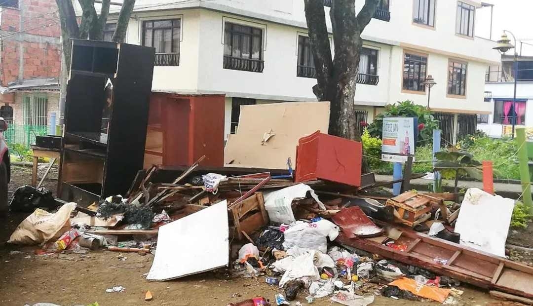 Los 'cochinos' a pagar multa en Pereira