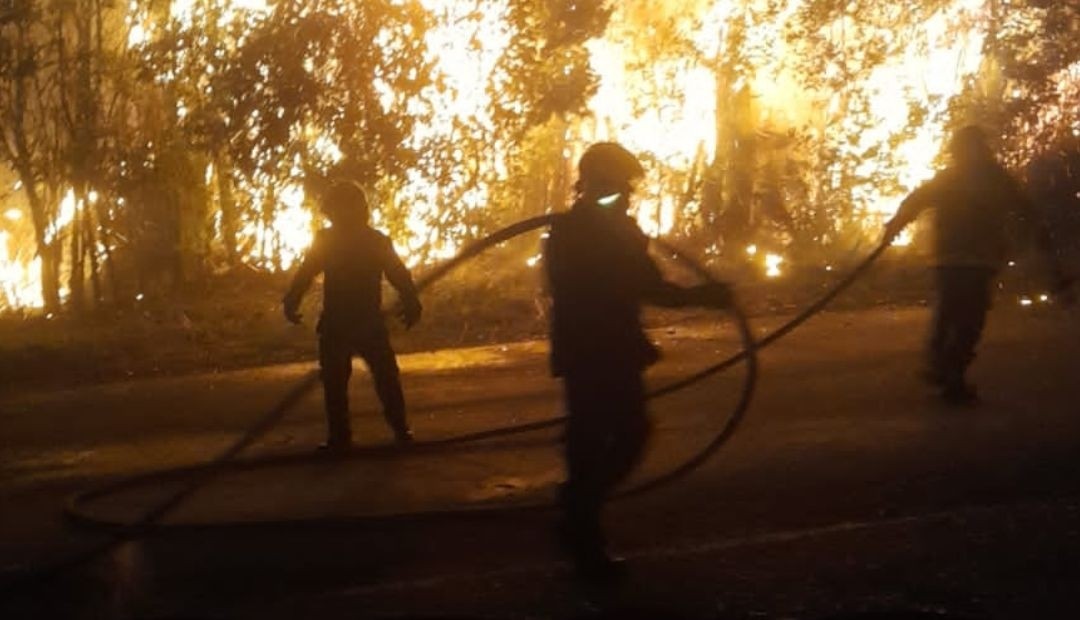 Los heróes atienden al llamado: Bomberos y organismos de socorro unen esfuerzos para controlar graves incendios en Perei