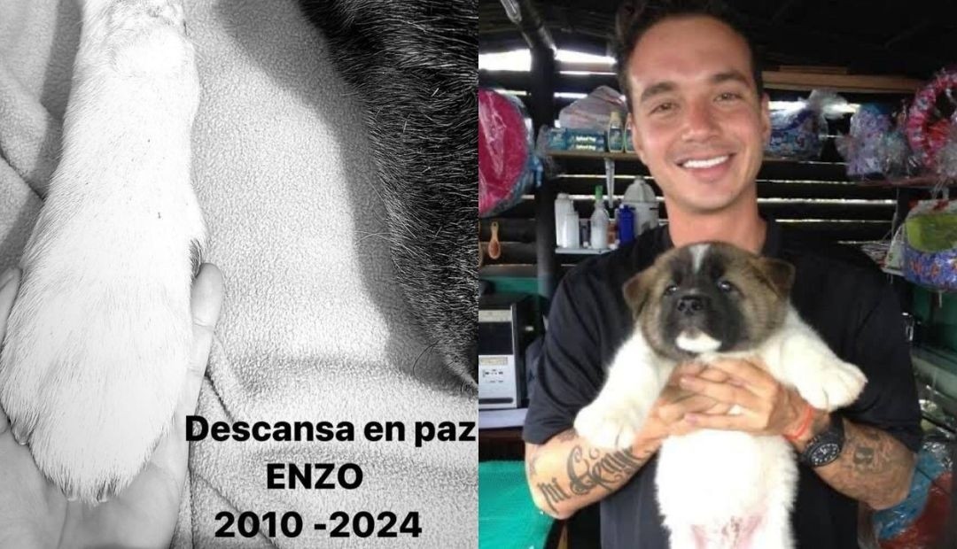 J Balvin atraviesa un difícil momento por la pérdida de su querido Enzo, adiós a su leal compañero