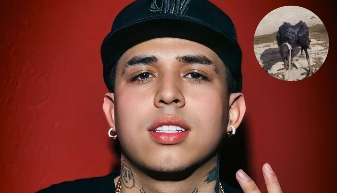 Westcol amenazan de muerte a periodista que lo tildó de “maltratador animal” 