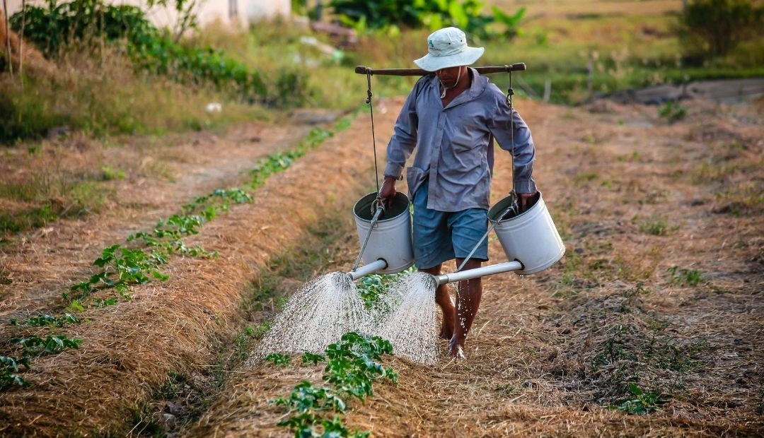 Mañana domingo se elegirán los representantes del Consejo Municipal de Desarrollo Rural