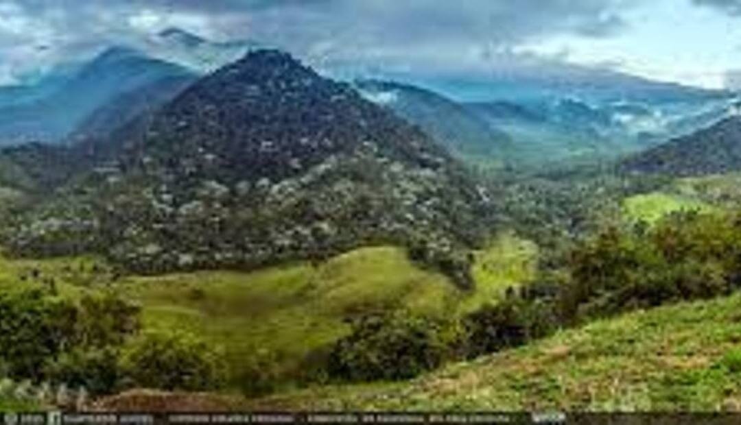 Campesinos de Pereira son muestra de fuerza y civismo