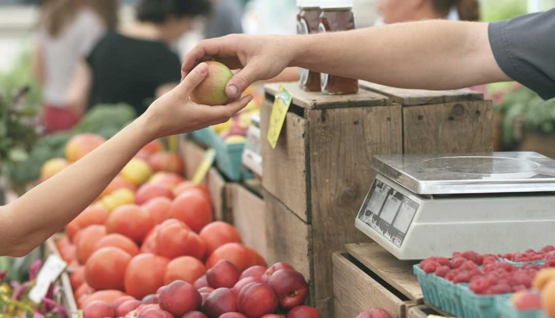 Programa Mundial de Alimentos busca combatir el hambre en Colombia 