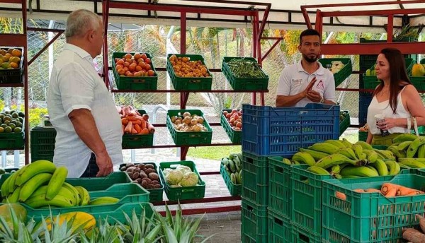 Vuelve la Mercatón Campesina
