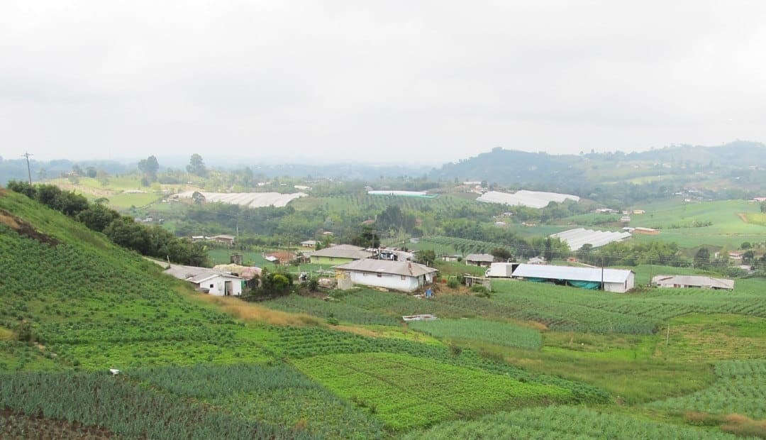 Precaución en la Pereira rural por amenaza del 'Niño'
