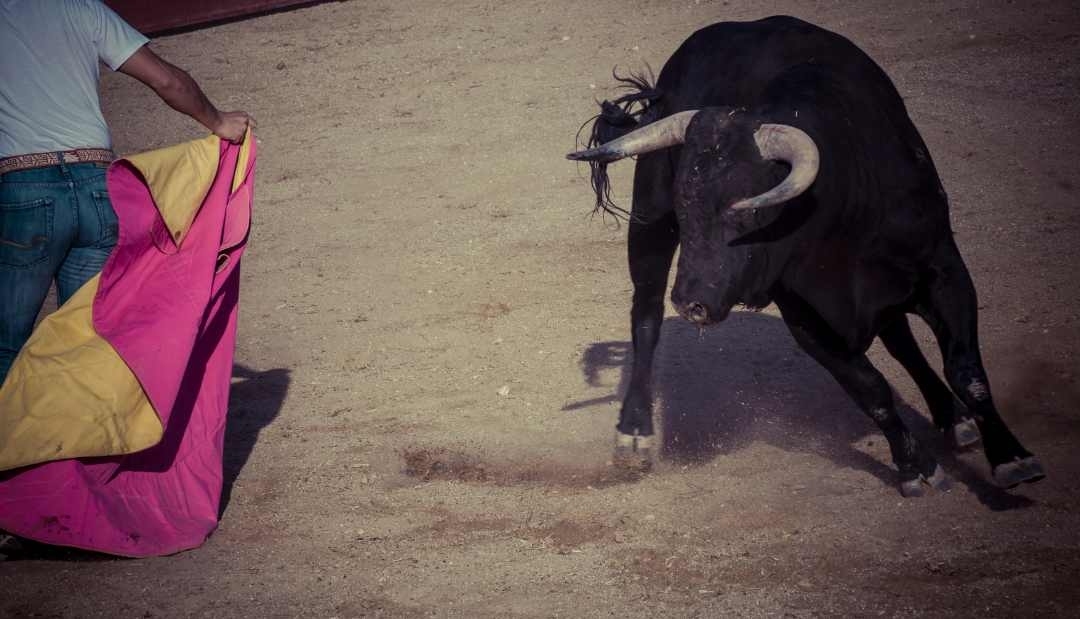 Colombia avanza: prohibición de las corridas de toros a un paso de ser ley 