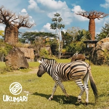 ¡ATENCIÓN! Este año han muerto en Ukumarí, nutrias, un venado, una cebra, un mono y una guacamaya