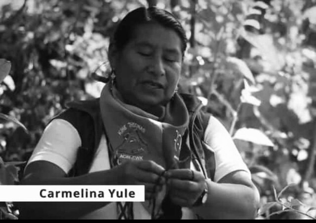 ¡INSÓLITO! No la dejaron en paz ni muerta, la mataron y atacaron su caravana fúnebre