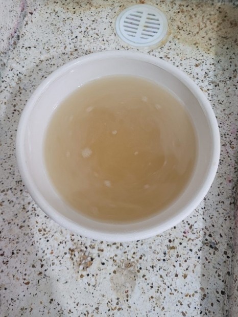 Comunidad de la Palmilla, Morelia, denuncia el mal estado del agua potable