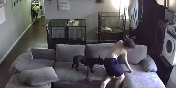 Niño de 9 Años esquivó balas durante un tiroteo frente a su casa 