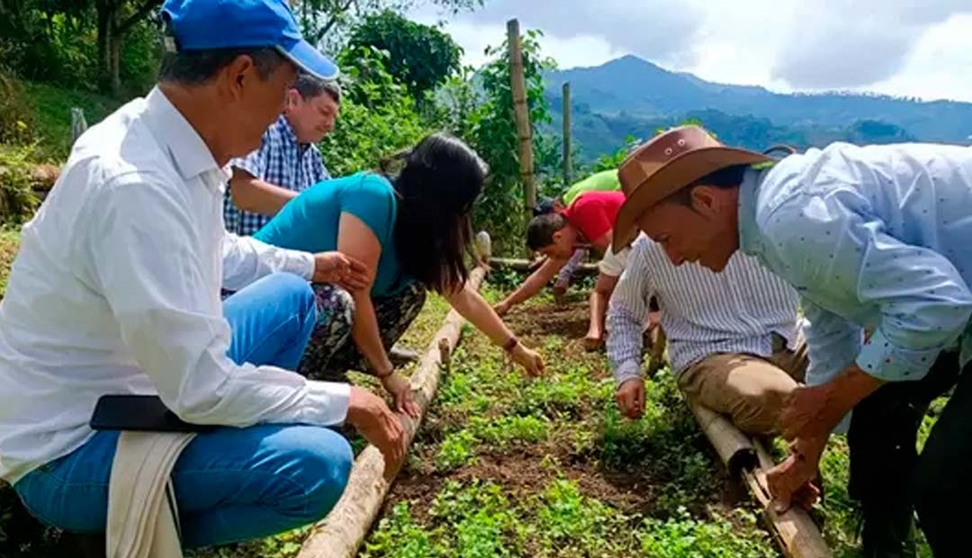 Regresa la Mercatón Campesina a la Plaza de Bolívar de Pereira