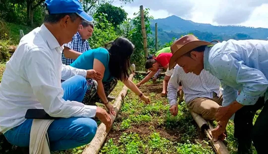 Regresa la Mercatón Campesina a la Plaza de Bolívar de Pereira