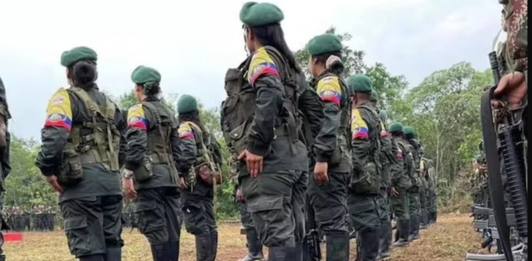 Ejército denuncia que disidencias de las Farc estarían utilizando las viviendas de los habitantes de Mapiripán como escu