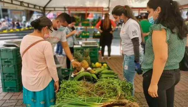 ¡Vuelve la Mercatón Campesina! Únete a nuestra comunidad y saborea lo mejor del campo cada semana