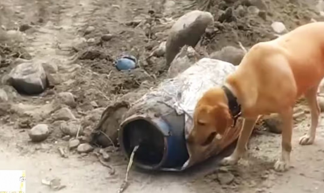 Ejército desactiva cilindro bomba en Cauca