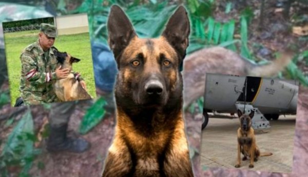 "JAMÁS SE ABANDONA UN COMPAÑERO" EJERCITO CONTINUARÁ CON LA BÚSQUEDA DE WILSON