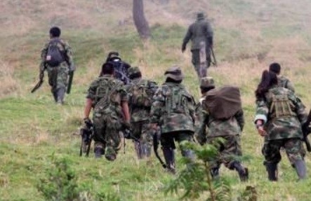 Crisis humanitaria: Preocupación por violencia desbordada en el Catatumbo 