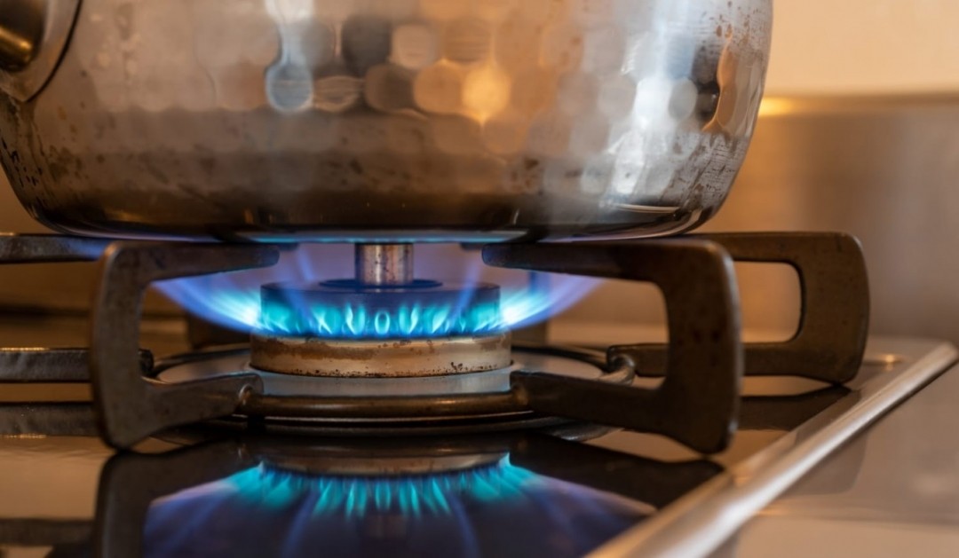 Gobierno investiga a Vanti por alza en el gas: “Los incrementos son injustificados”