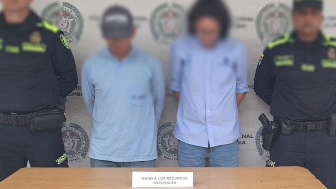 Policía captura a tres personas por delitos ambientales en Pereira