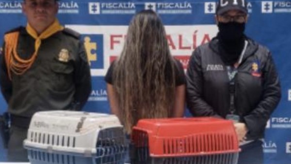 Judicializada mujer en Antioquia por maltrato y tráfico de fauna silvestre