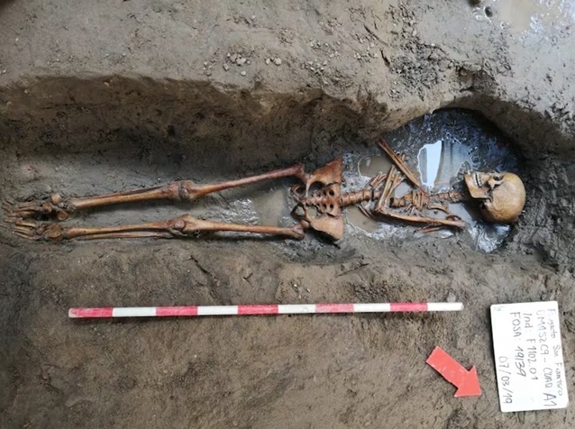 Descubrimiento en Cartagena: 900 esqueletos revelan secretos de la era colonial