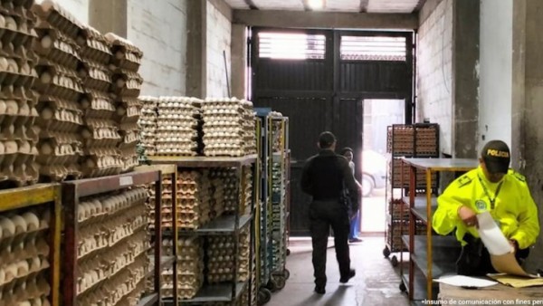 Judicializadas dos mujeres por presunto lavado de dinero vinculado al control ilegal del comercio de huevos en Buenavent