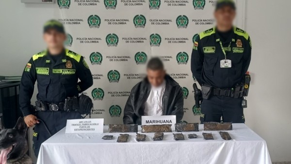 Canino 'Astor' frustra envío de droga a Brasil desde el Aeropuerto Matecaña