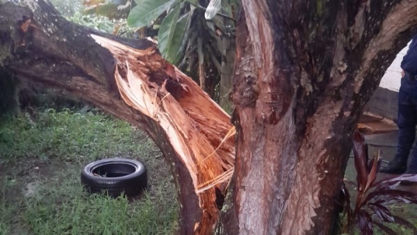 Bomberos Pereira atendió llamado por lluvias en Puerto Caldas y Dirección de Gestión del Riesgo evalúa diversas afectaci