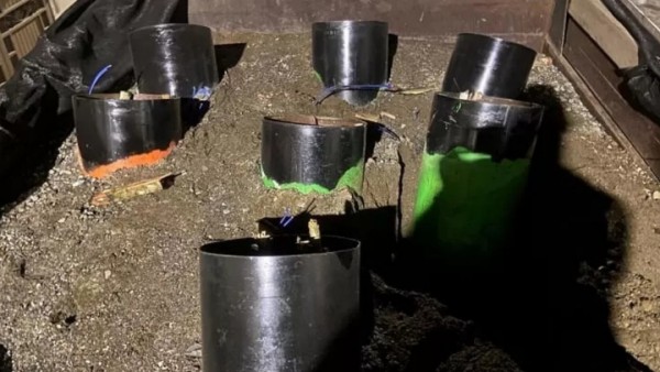 Frustran atentado con volqueta bomba en Palmira