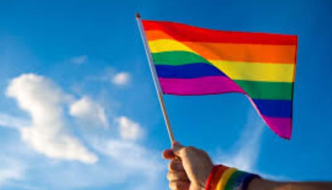 ¿Por qué la bandera LGBTIQ+ es un arcoíris?