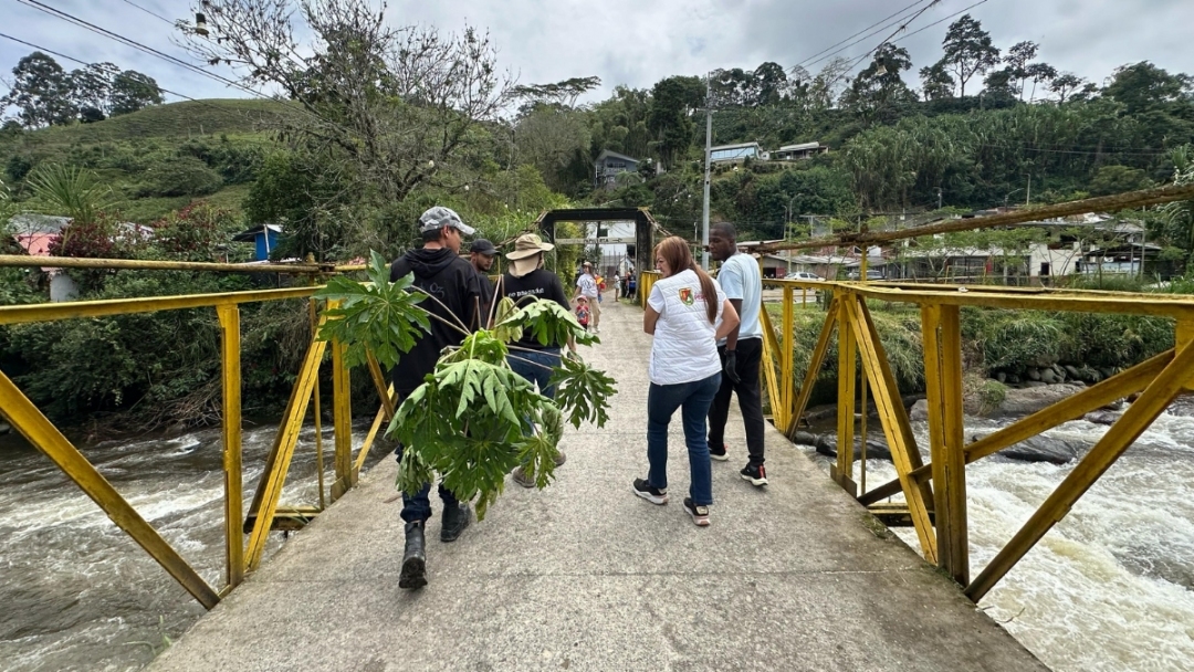 La juventud pereirana se une para sembrar vida en la ciudad