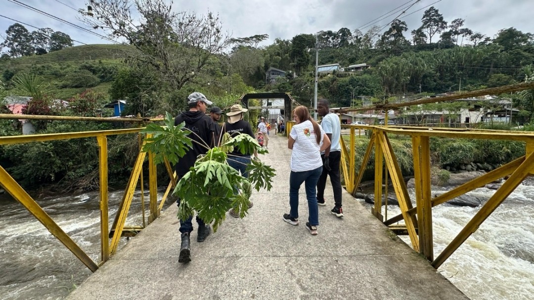 La juventud pereirana se une para sembrar vida en la ciudad