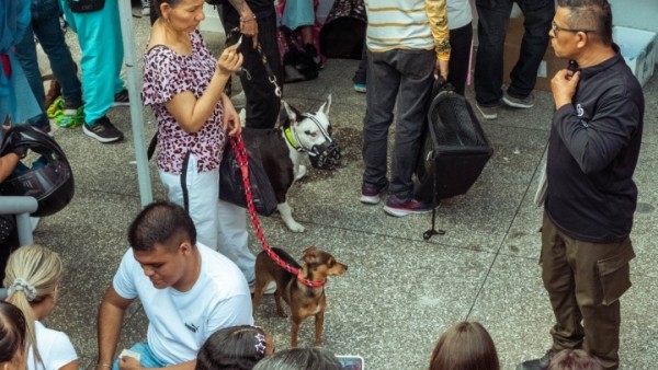 El Hospital Público Veterinario supera las 3.300 esterilizaciones en 2025 